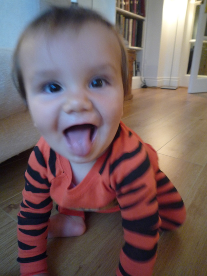 6 September tiger.jpg